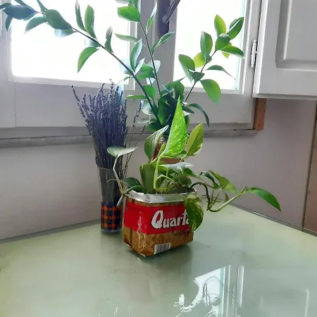 בית נופש Curte Verde *